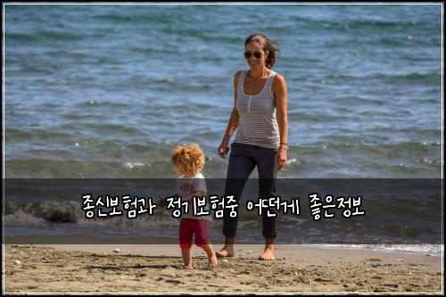 ์ข
์ ๋ณดํ๊ณผ ์ ๊ธฐ๋ณดํ์ค ์ด๋ค๊ฒ ์ข์์ ๋ณด