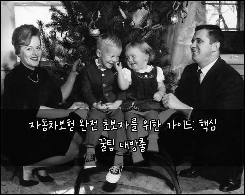  자동차보험 완전 초보자를 위한 가이드: 핵심 꿀팁 대방출