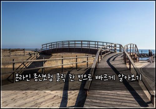  온라인 종신보험 클릭 한 번으로 빠르게 알아보기