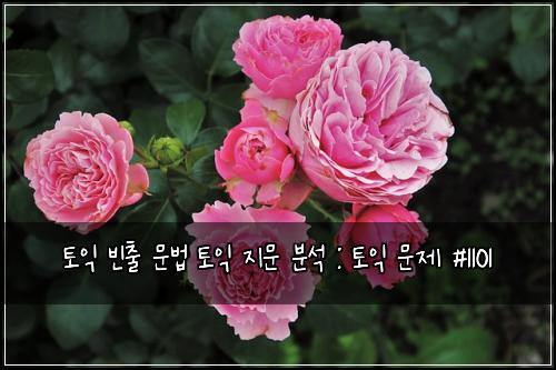 토익 빈출 문법 토익 지문 분석 : 토익 문제 #1101