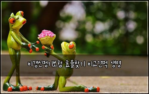 비갱신정기보험 효율찾기  비교견적 생명