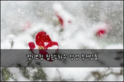 정기보험 참된노하우  장점 추천상품