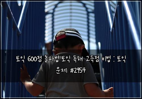 토익 600점 돌파법 토익 독해 고득점 비법 : 토익 문제 #2954