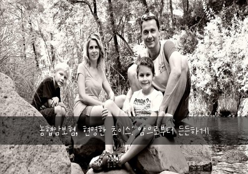  농협암보험, 현명한 초이스: 암으로부터 든든하게