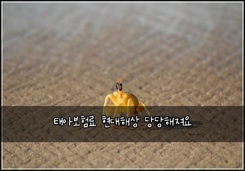 태아보험료 현대해상 당당해져요
