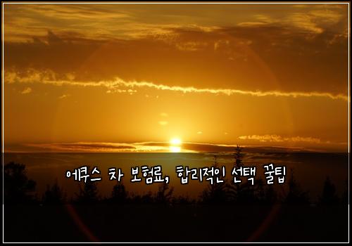 에쿠스 차 보험료, 합리적인 선택 꿀팁