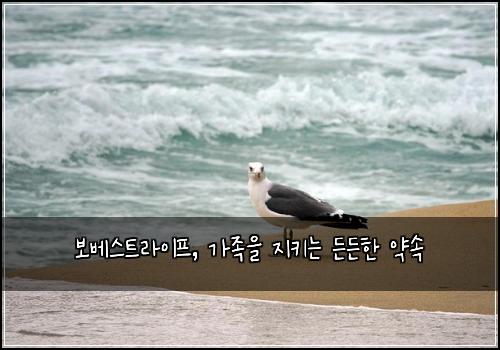 보베스트라이프, 가족을 지키는 든든한 약속