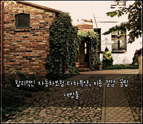  합리적인 자동차보험 타차특약, 비용 절감 꿀팁 대방출