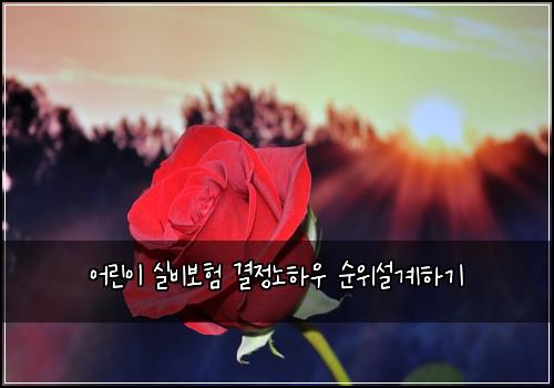 ์ด๋ฆฐ์ด ์ค๋น๋ณดํ ๊ฒฐ์ ๋
ธํ์ฐ ์์์ค๊ณํ๊ธฐ