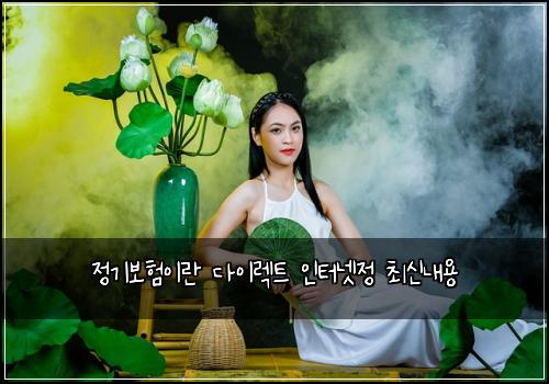 ์ ๊ธฐ๋ณดํ์ด๋ ๋ค์ด๋ ํธ ์ธํฐ๋ท์ ์ต์ ๋ด์ฉ