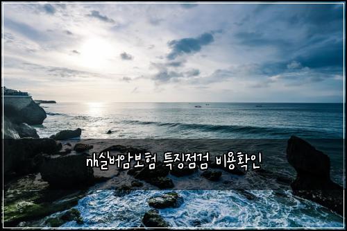 nh์ค๋ฒ์๋ณดํ ํน์ง์ ๊ฒ ๋น์ฉํ์ธ