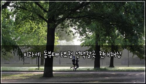 비과세 동부태아보험 선택할곳  현대해상