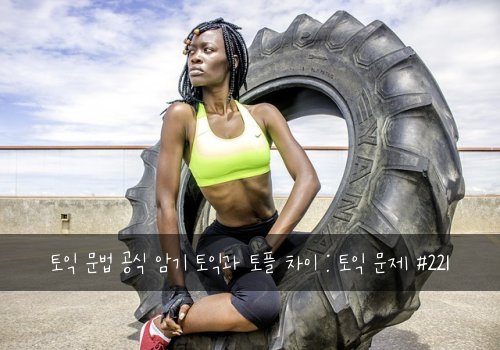 토익 문법 공식 암기 토익과 토플 차이 : 토익 문제 #221