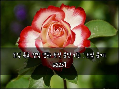 토익 목표 성적 변화 토익 문법 기초 : 토익 문제 #2237
