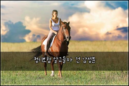정기보험 알고들자  건 남성분