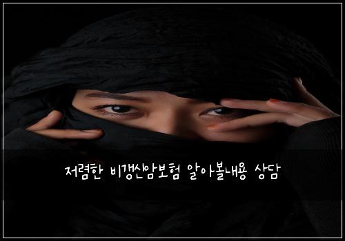 저렴한 비갱신암보험 알아볼내용 상담