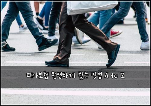 태아보험 현명하게 찾는 방법 A to Z