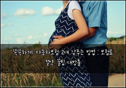  똑똑하게 자동차보험 2대 낮추는 방법 : 보험료 절약 꿀팁 대방출