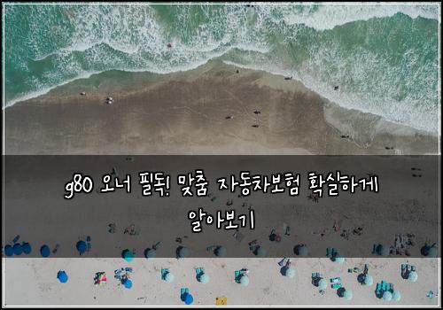 g80 오너 필독! 맞춤 자동차보험 확실하게 알아보기