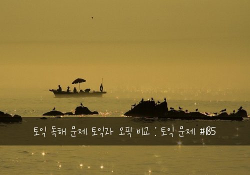 토익 독해 문제 토익과 오픽 비교 : 토익 문제 #185