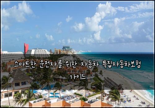  스마트한 운전자를 위한 자동차 특집자동차보험 가이드