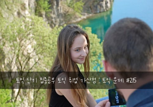 토익 단기 집중공부 토익 취업 가산점 : 토익 문제 #215