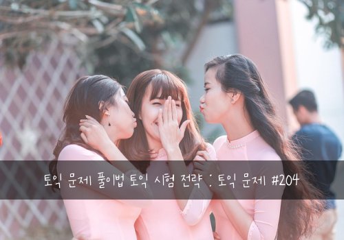 토익 문제 풀이법 토익 시험 전략 : 토익 문제 #204