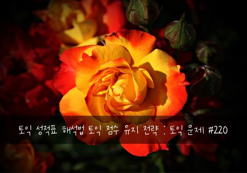 토익 성적표 해석법 토익 점수 유지 전략 : 토익 문제 #220