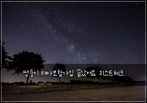 쌍둥이 태아보험가입 끝났어요 리스트체크
