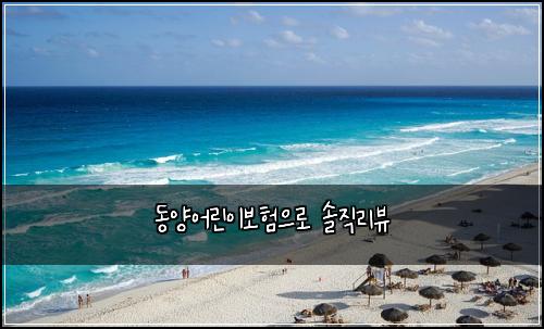 동양어린이보험으로 솔직리뷰