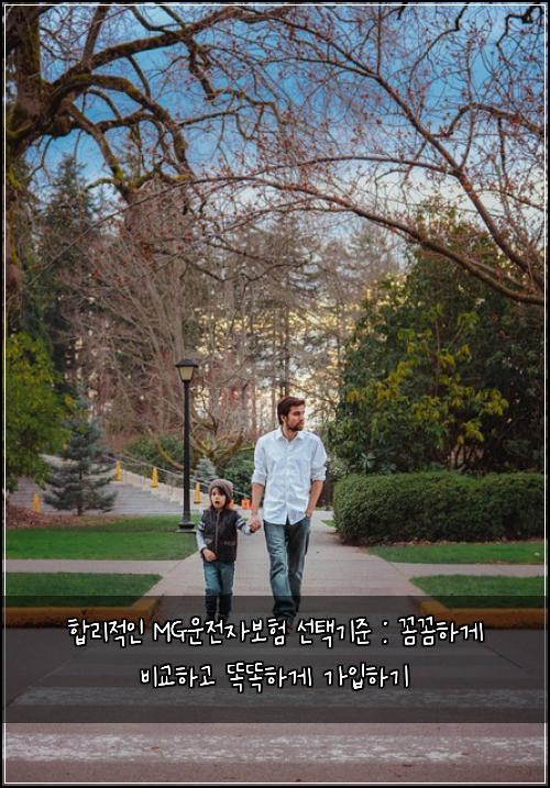  합리적인 MG운전자보험 선택기준 : 꼼꼼하게 비교하고 똑똑하게 가입하기