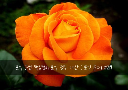 토익 문법 핵심정리 토익 점수 계산 : 토익 문제 #219