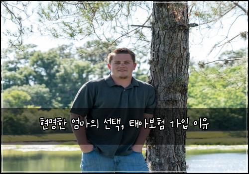 현명한 엄마의 선택, 태아보험 가입 이유