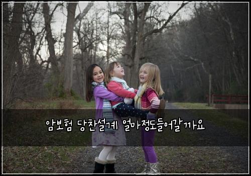 암보험 당찬설계  얼마정도들어갈까요