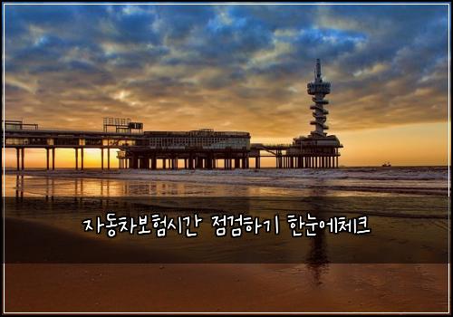 μλ차보νμκ° μ κ²νκΈ° νλμ체ν¬