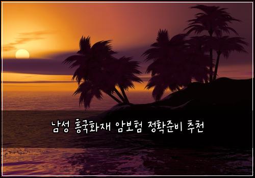 남성 흥국화재 암보험 정확준비  추천