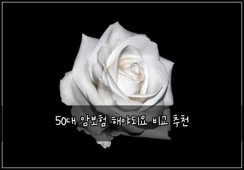 50๋ ์๋ณดํ ํด์ผ๋์ ๋น๊ต ์ถ์ฒ