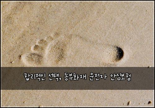  합리적인 선택, 동부화재 운전자 안심보험