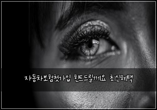 μλ차보ν첫κ°μ
ννΈλ릴κ»μ μ΅μ νν