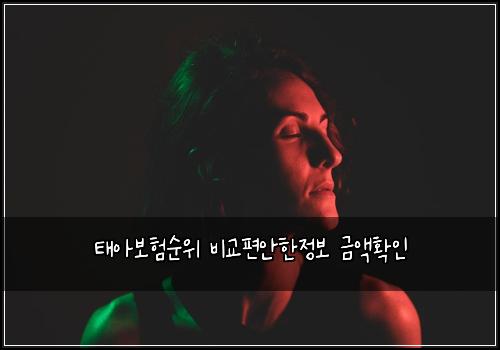 태아보험순위 비교편안한정보 금액확인