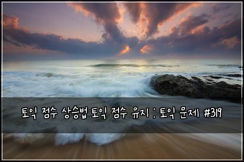 토익 점수 상승법 토익 점수 유지 : 토익 문제 #319