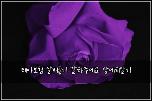 태아보험 살펴놓기  갈차주세요 상세히알기