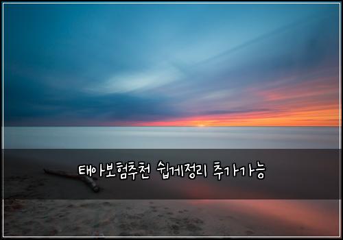 태아보험추천 쉽게정리 추가가능