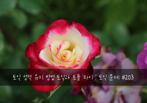 토익 성적 유지 방법 토익과 토플 차이 : 토익 문제 #203