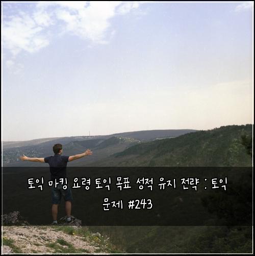 토익 마킹 요령 토익 목표 성적 유지 전략 : 토익 문제 #243