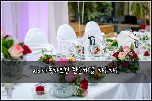 aia์๋์ฐจ๋ณดํ ํ๋ํด๊ฒฐ ์ฐจ๊ทผ์ฐจ๊ทผ