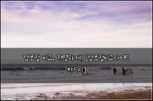 암보험 비교, 현명하게! [암보험비교사이트 반드시]