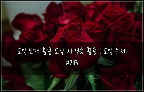 토익 단어 활용 토익 자격증 활용 : 토익 문제 #2113