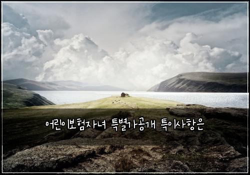 어린이보험자녀 특별가공개 특이사항은