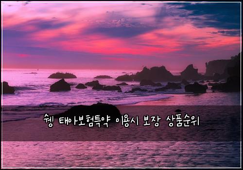 ์ฅ ํ์๋ณดํํน์ฝ ์ด์ฉ์ ๋ณด์ฅ ์ํ์์